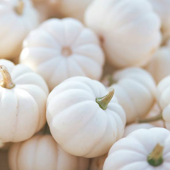 White Pumpkin